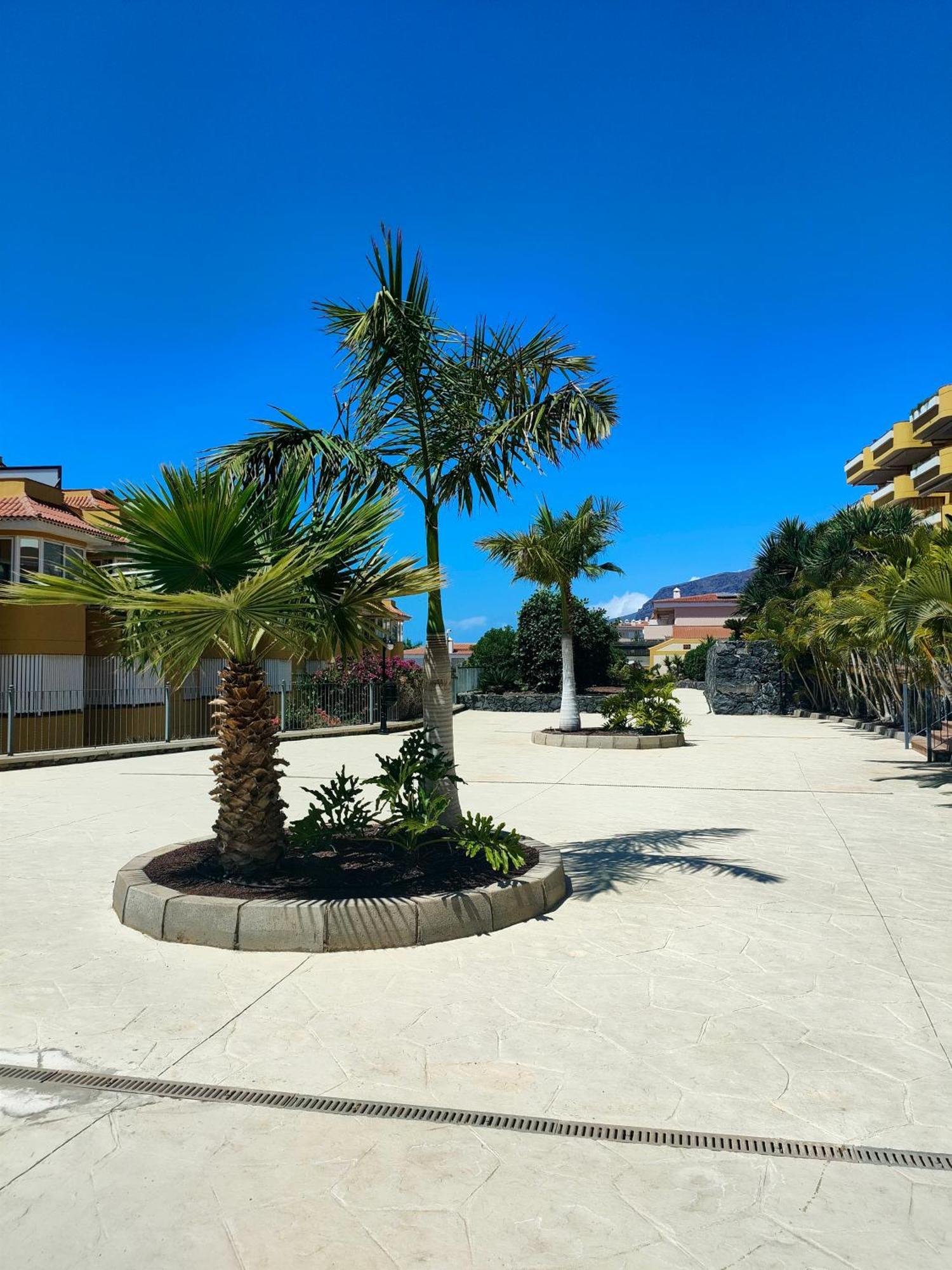 Belvedere Penthouse Puerto de Santiago  Ngoại thất bức ảnh